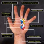 چربی سوز انیمال کاتس