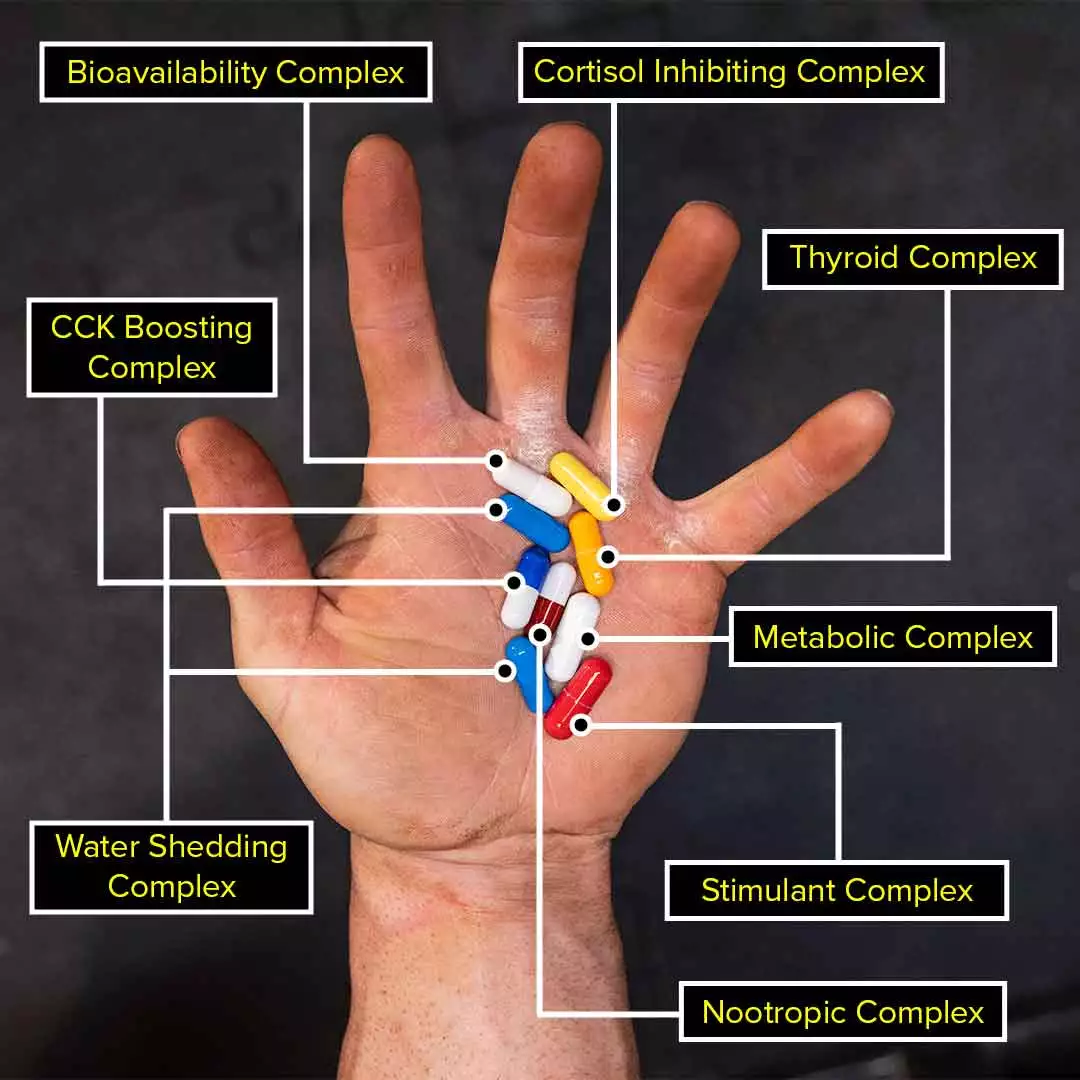 چربی سوز انیمال کاتس
